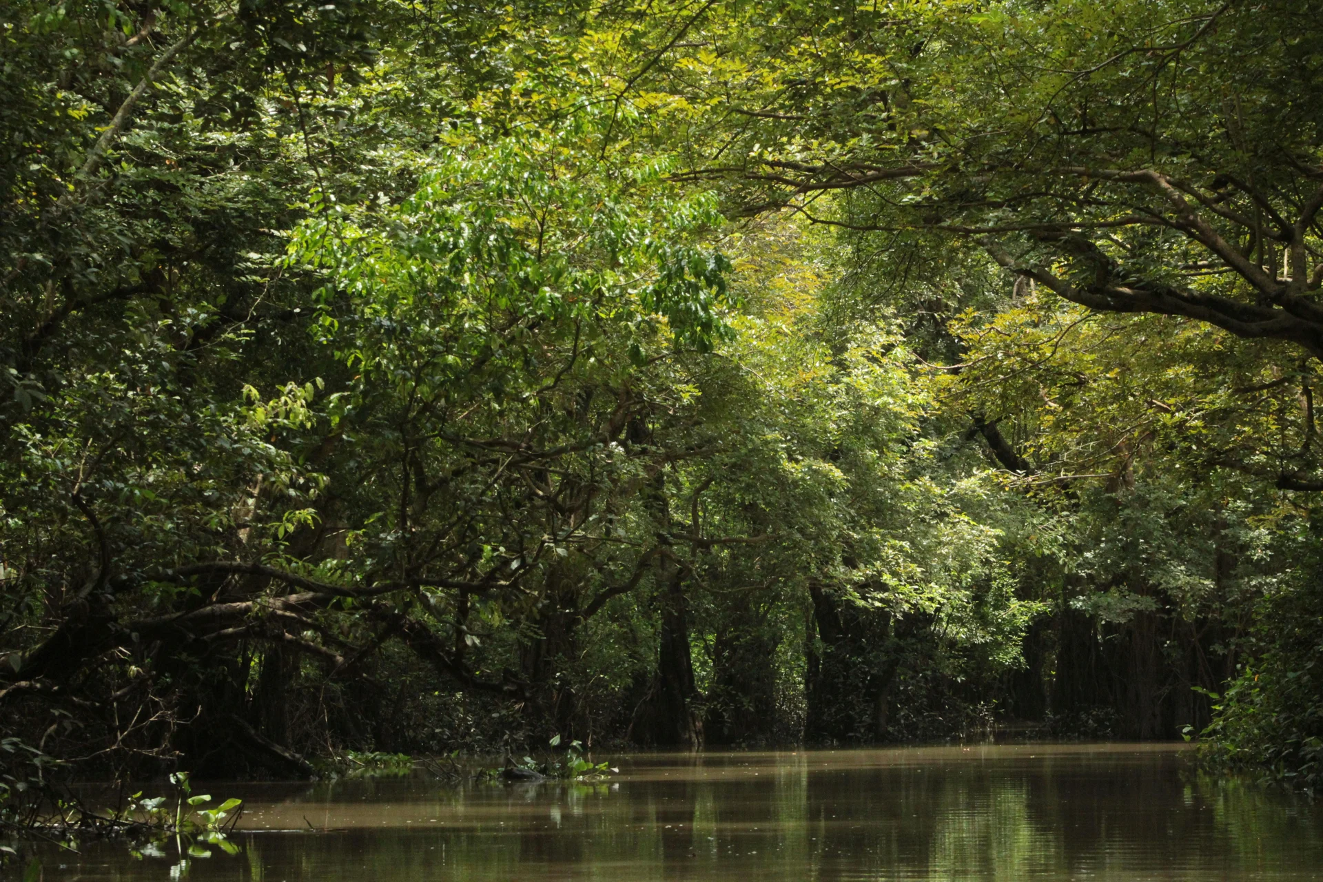 Chagres National Park Hiking