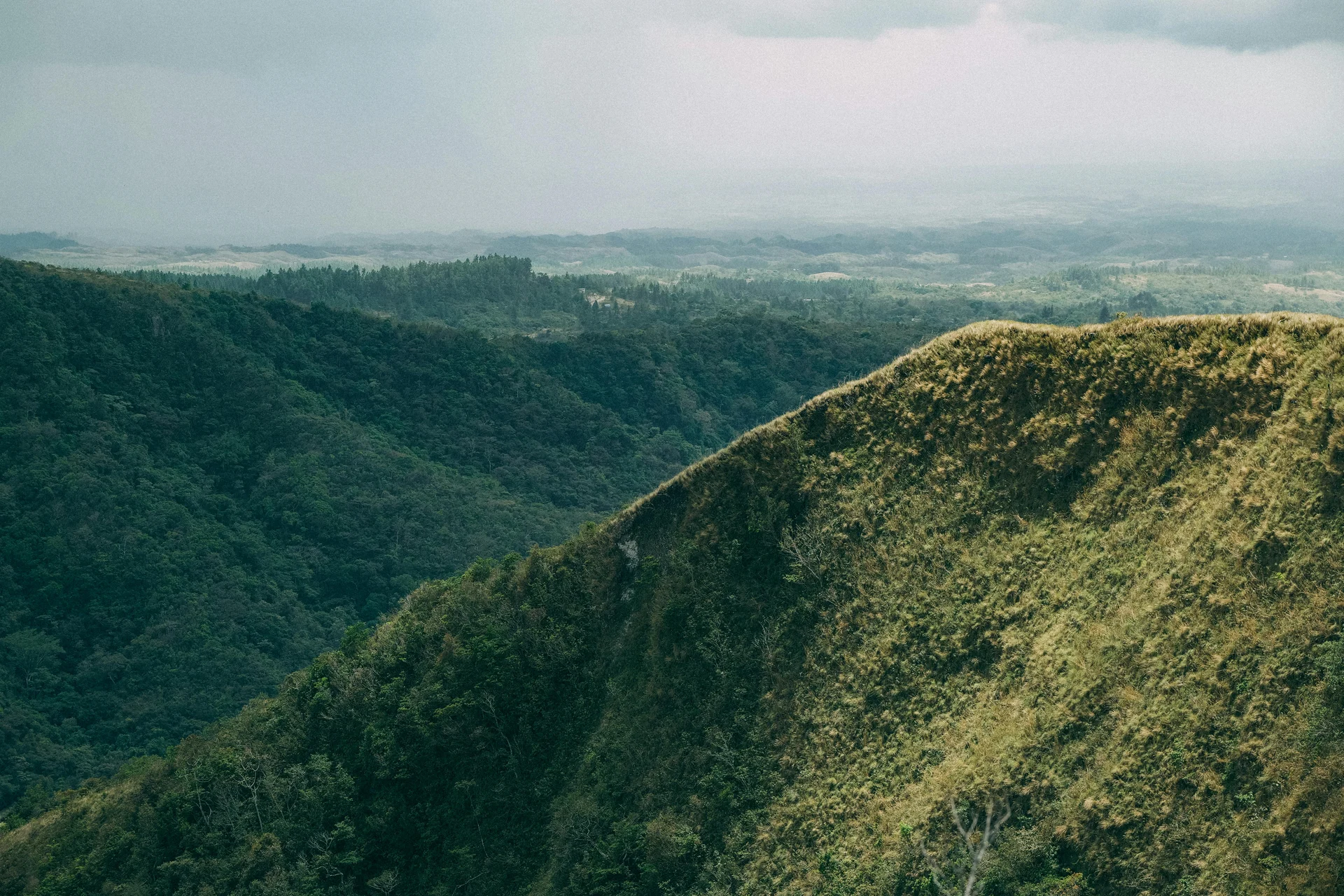 El Valle de Antón Day Trip Guide