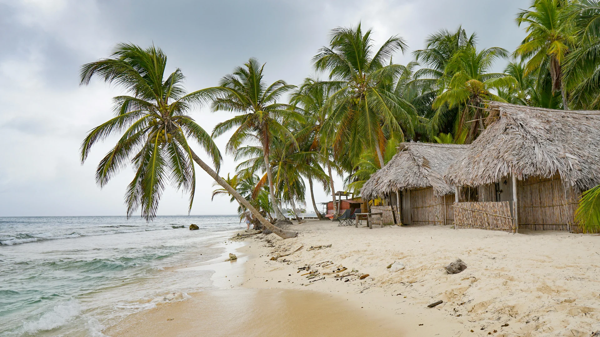Isla Farallón Boat Excursion