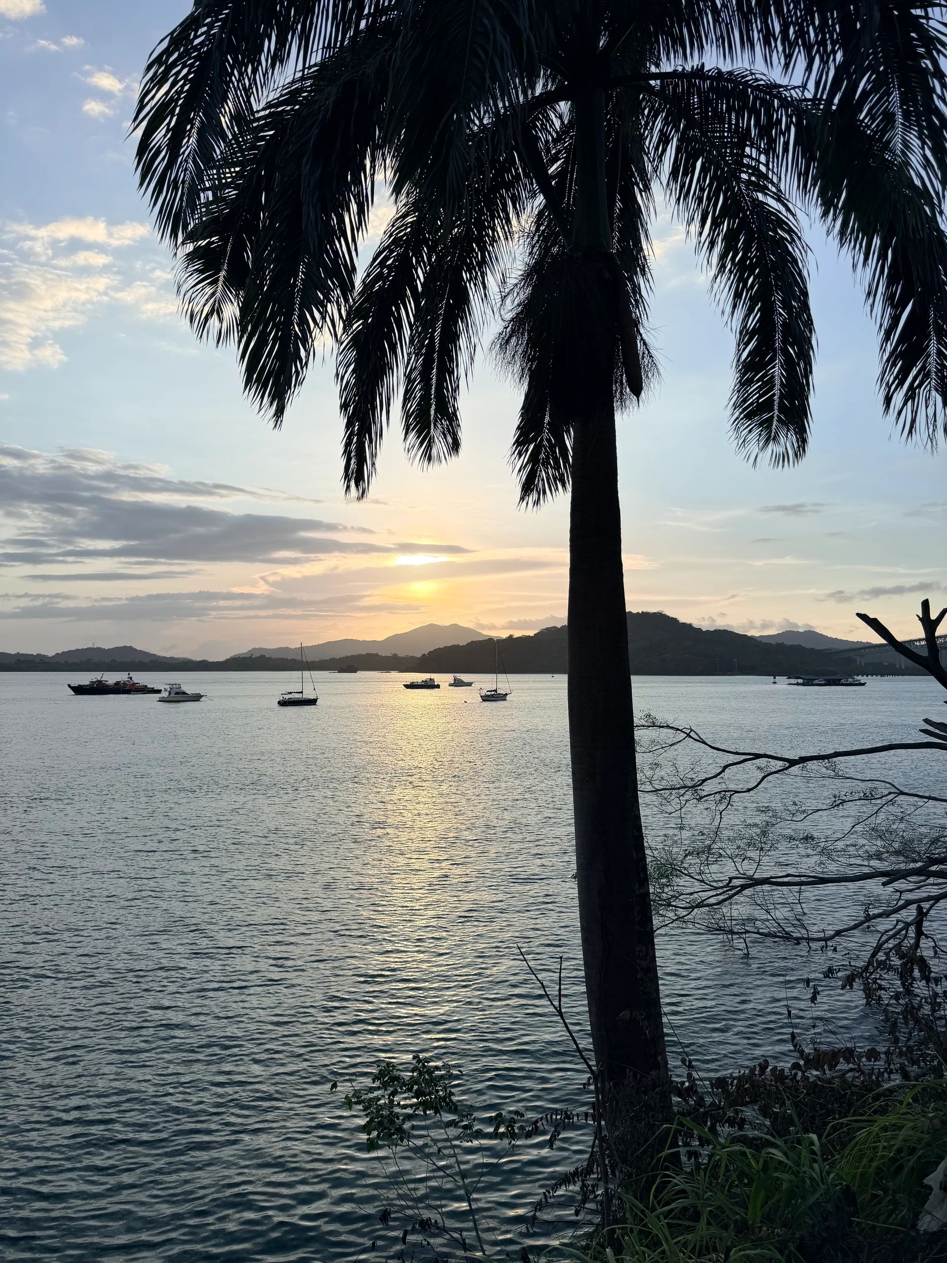 Coiba Guide — World-Class Diving & UNESCO National Park