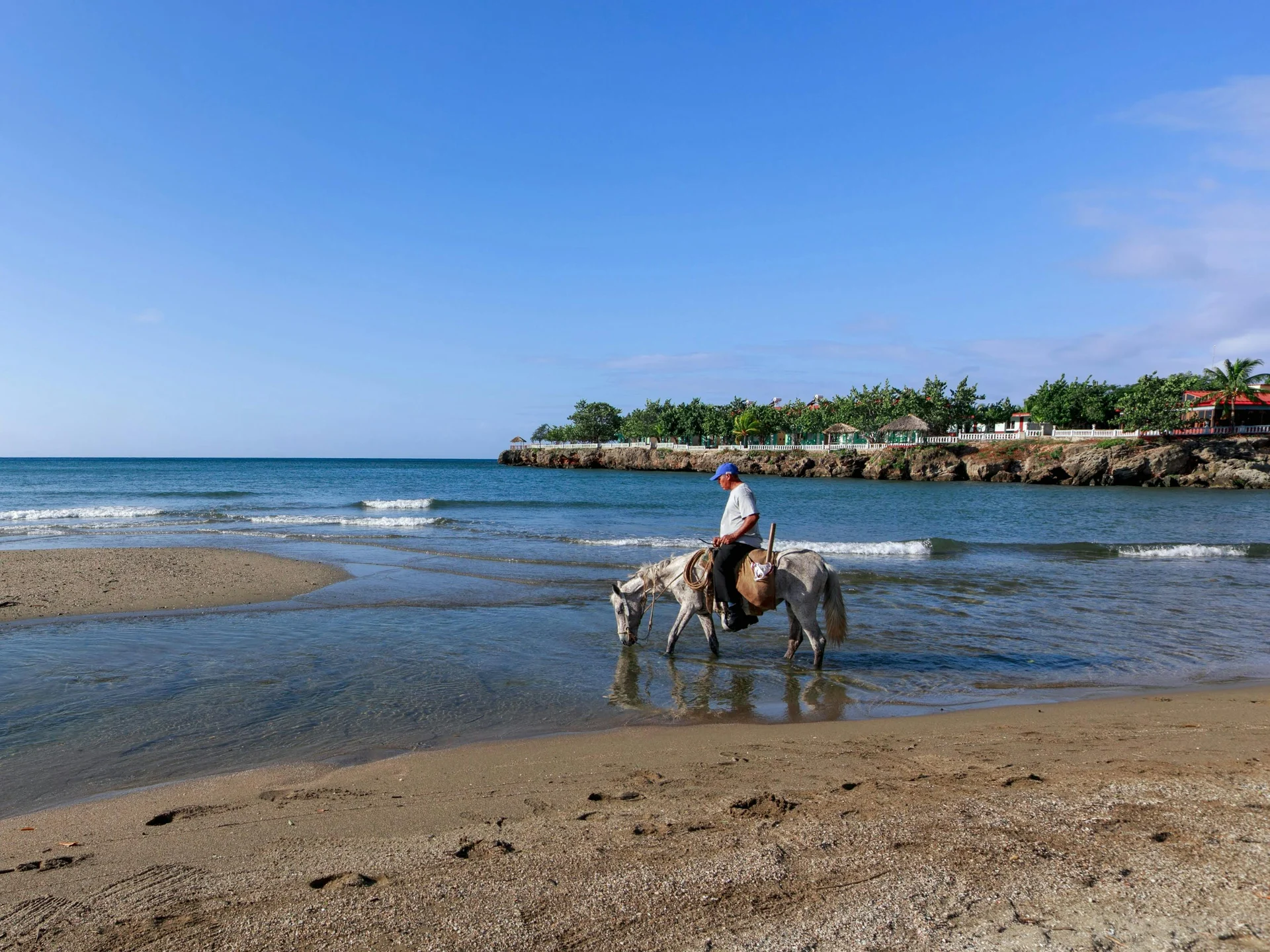Beach Horseback Riding