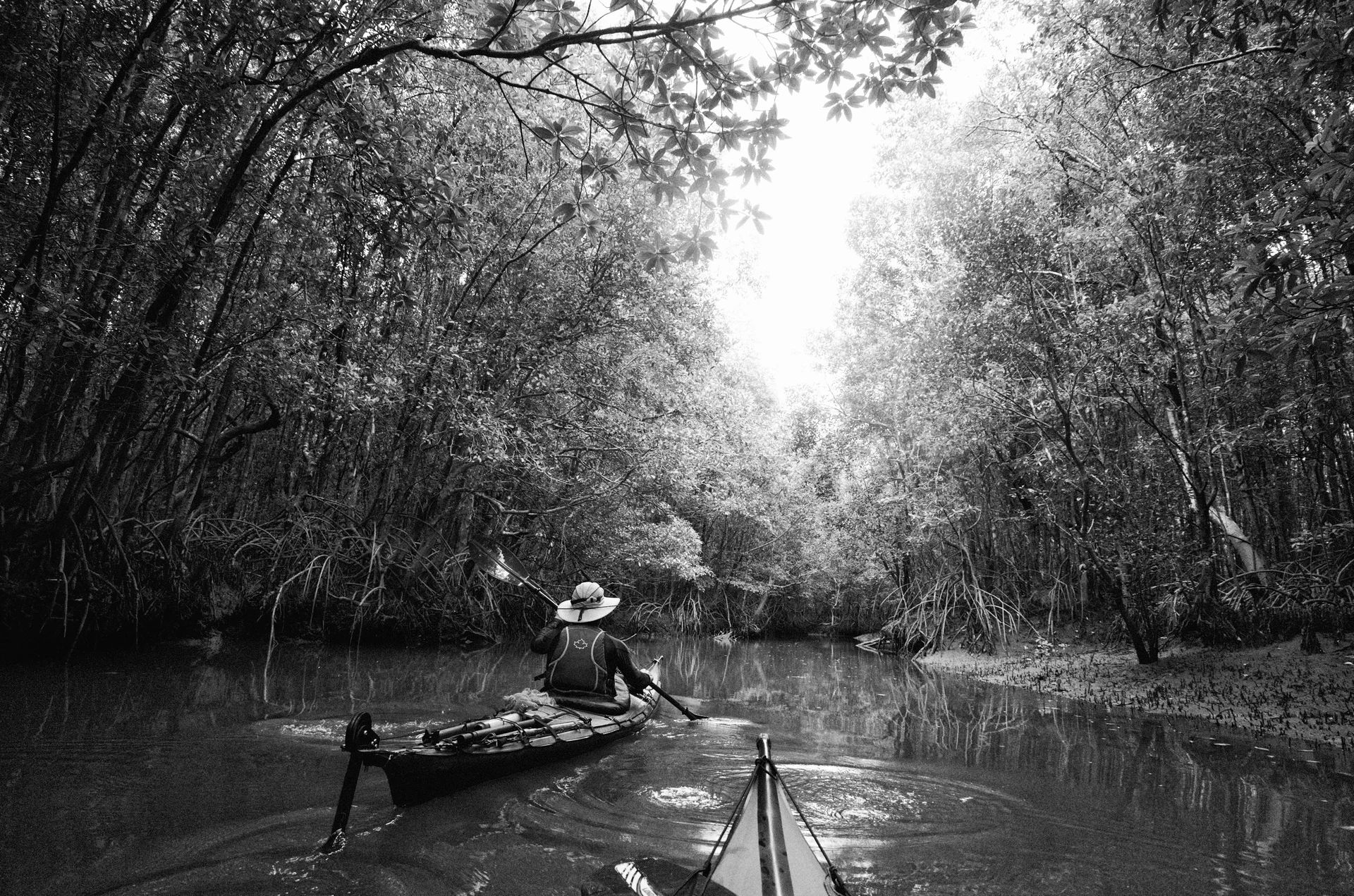 Kayaking & Paddleboarding