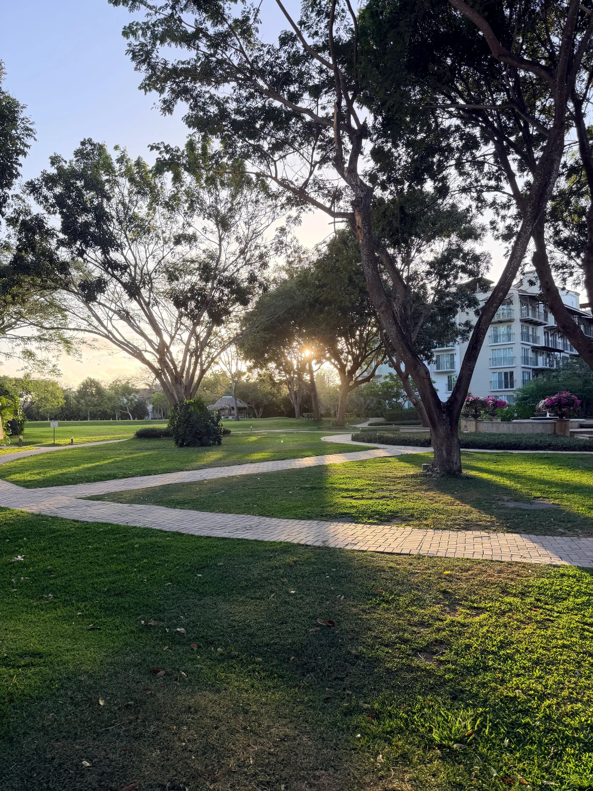 Lush garden landscape with paved walkway and modern building at Puntarena Ocean Village, Panama.