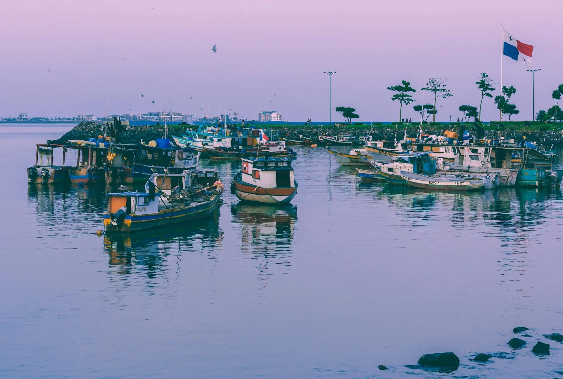 Deep Sea Fishing