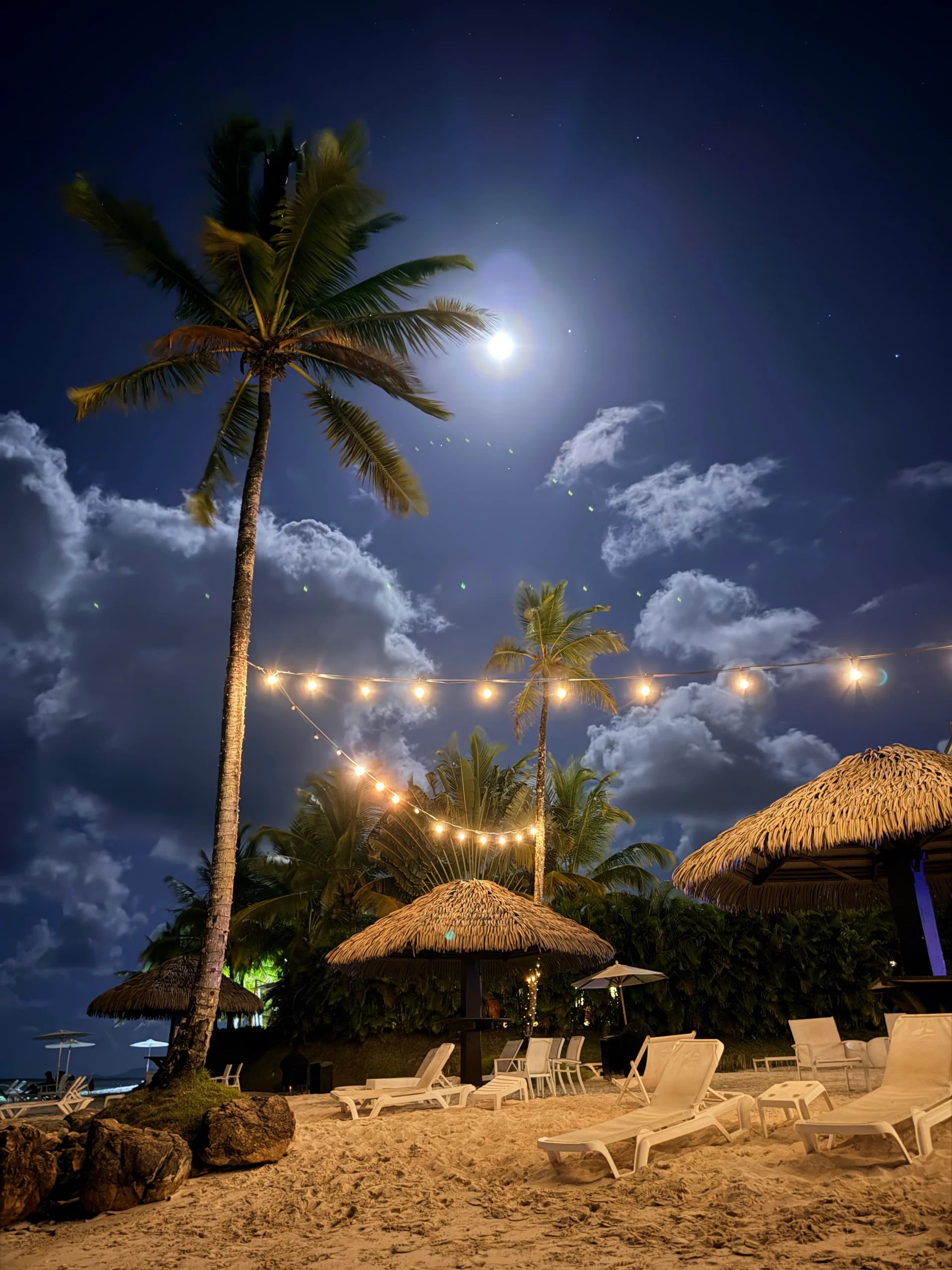 Moonlit beach with palm trees and lounge chairs at Playa Escondida, Panama