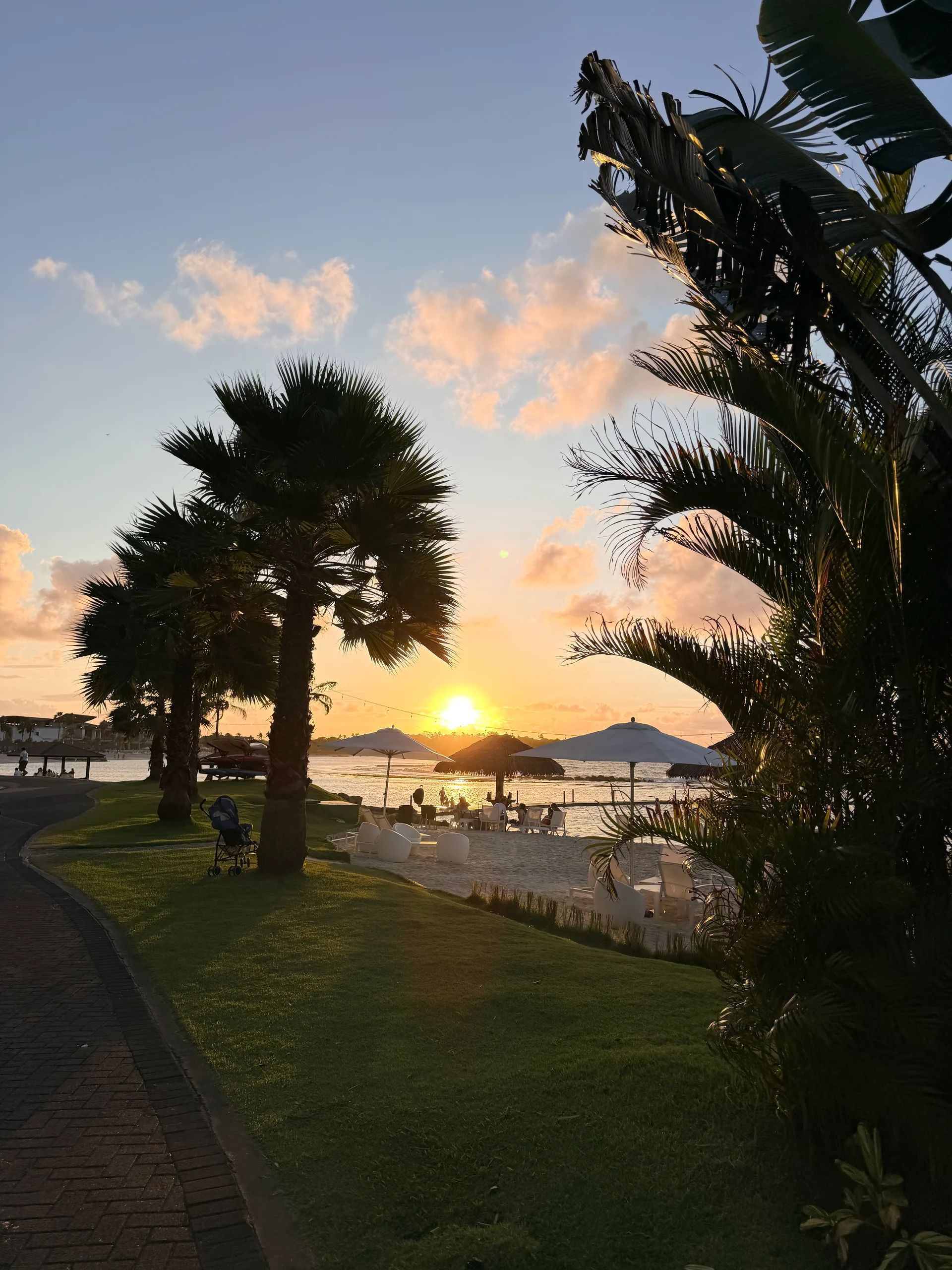 Golden hour sunset at Playa Escondida beach with palm tree silhouettes and lounge area, Panama
